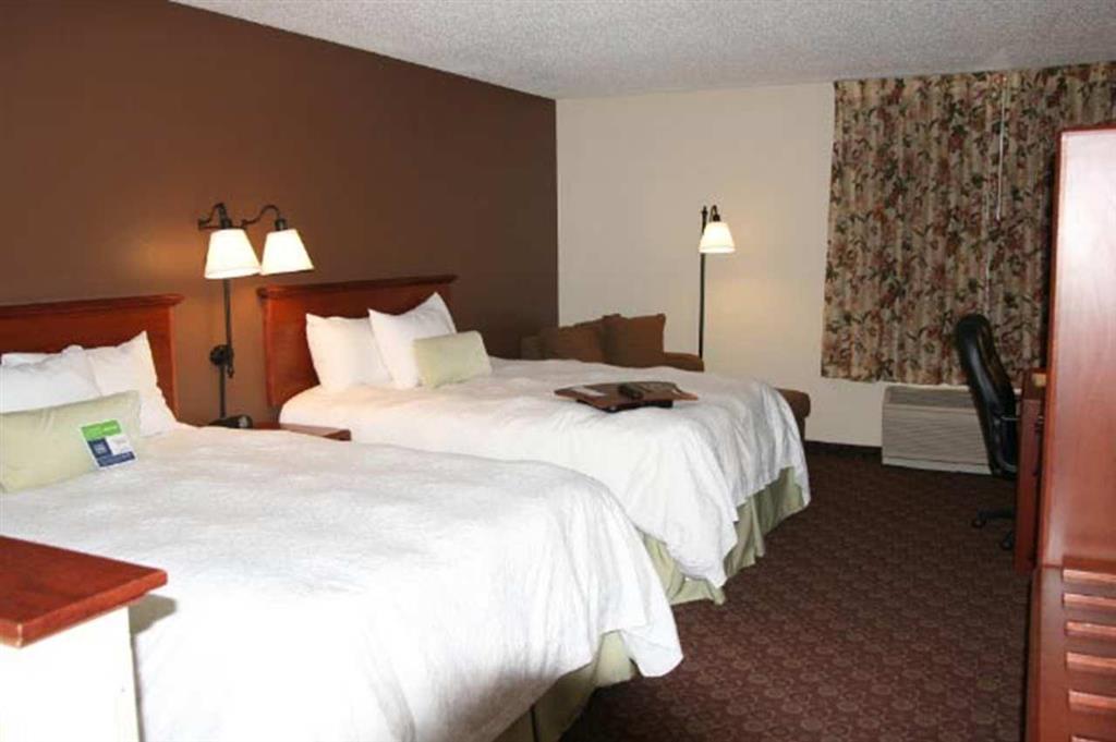 Hampton Inn North Sioux City Rum bild